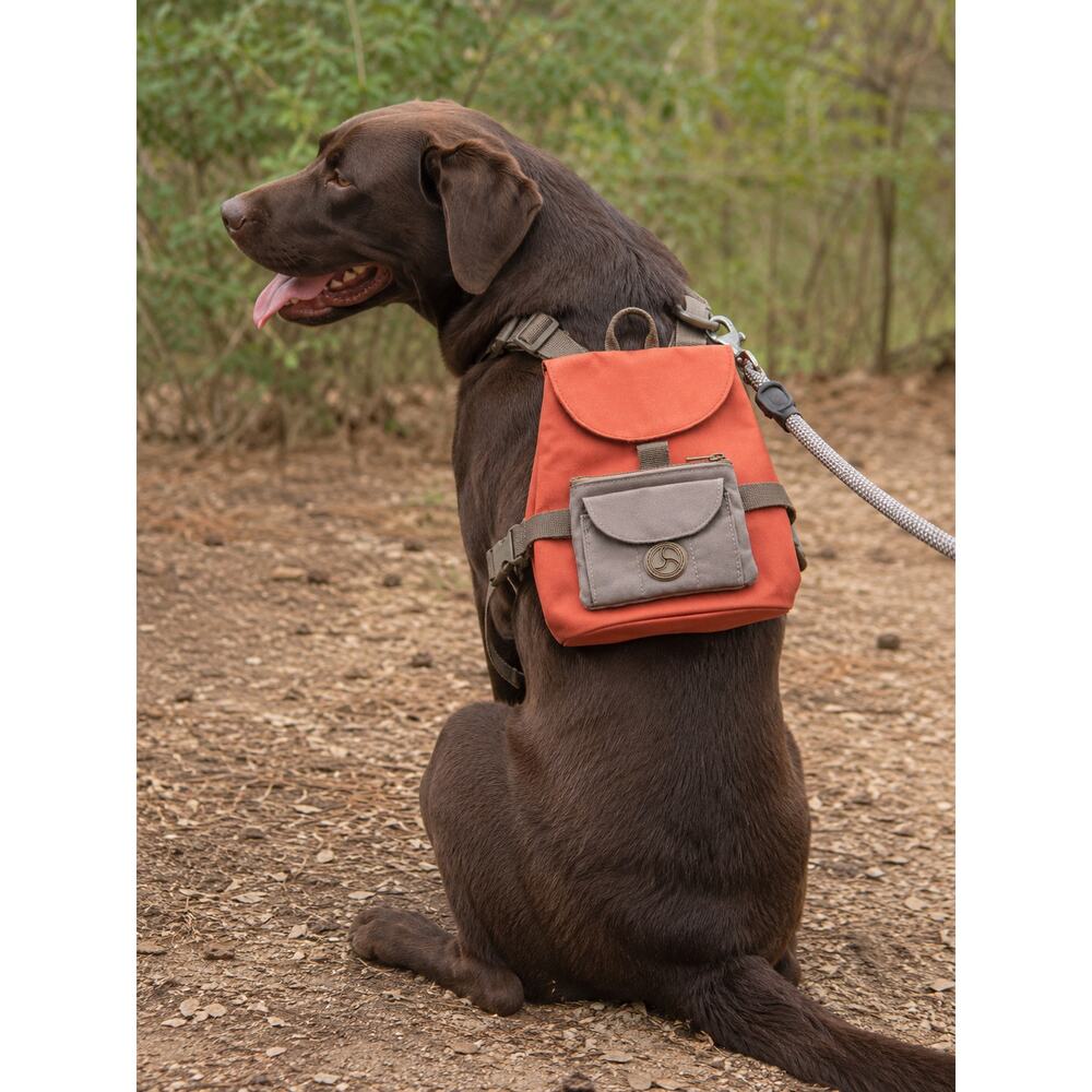 Youly Trailblazer Dog Backpack L XL Hiking Adventure Pet Pack Orange
